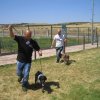 17th National Breed Show